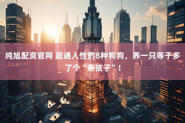 纯旭配资官网 超通人性的8种狗狗，养一只等于多了个“亲孩子”！